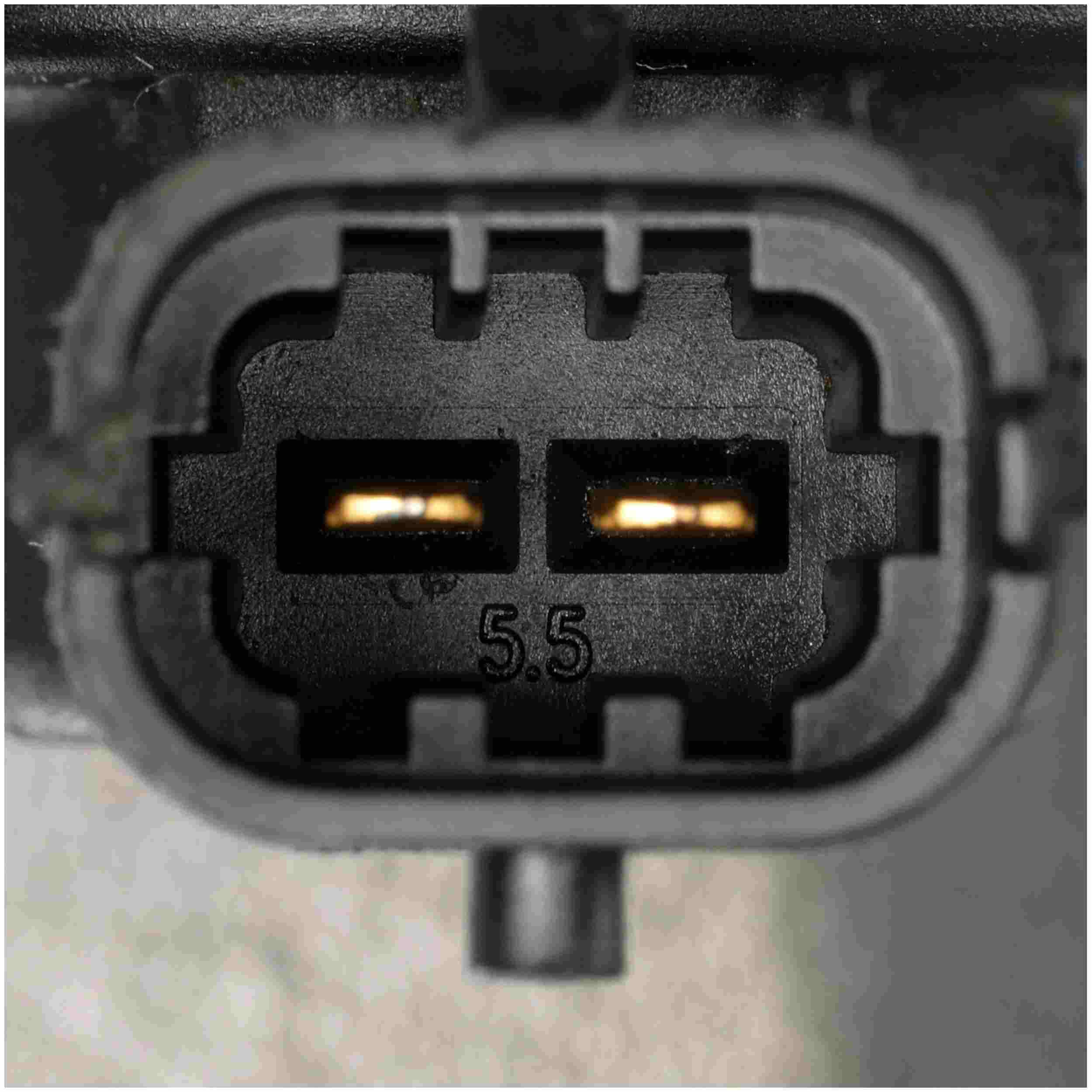 Delphi Fuel Injection Pump EX836103