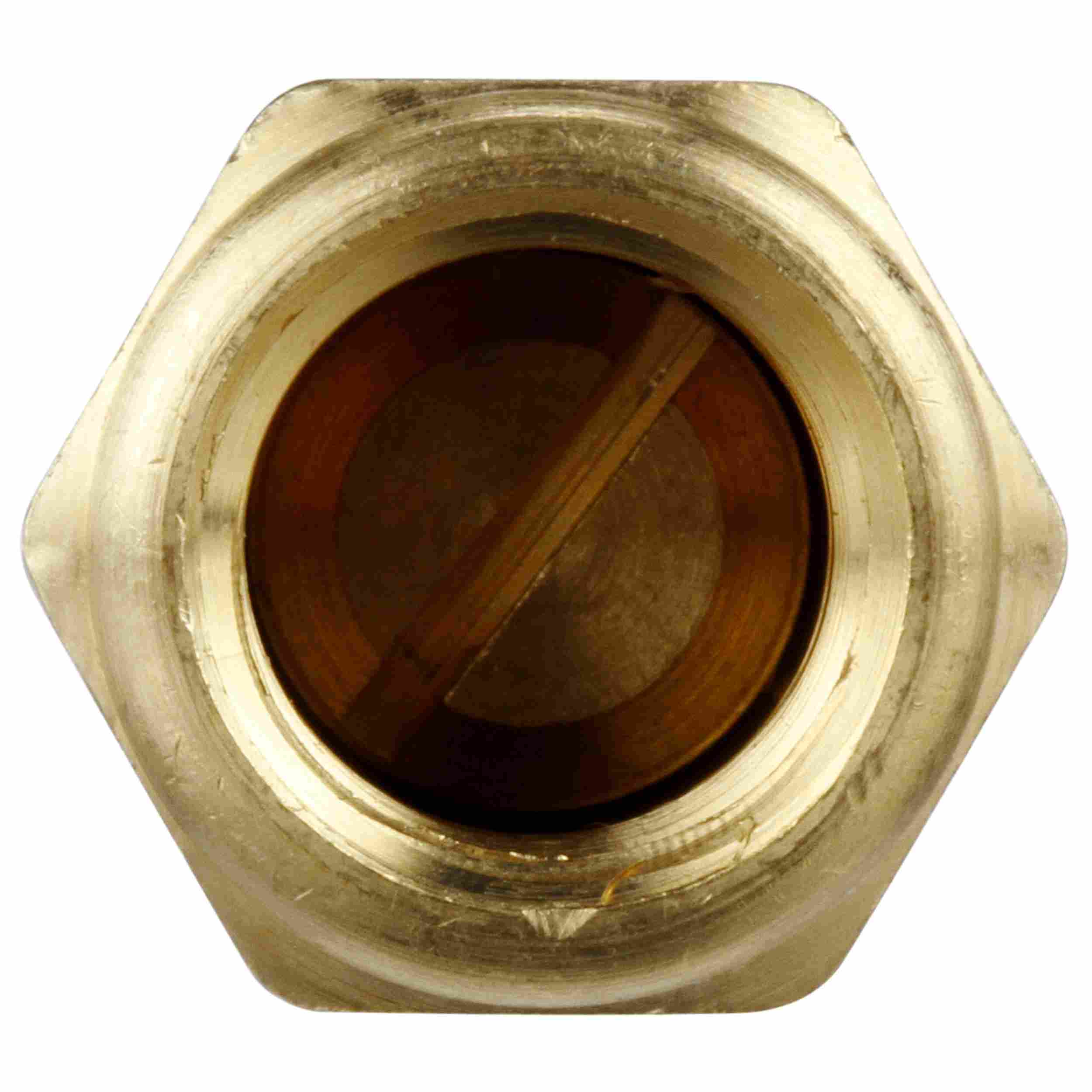 Delphi Fuel Pump Check Valve FA10016