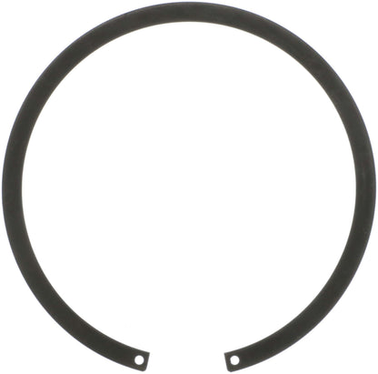Delphi Fuel Tank Lock Ring FA10022