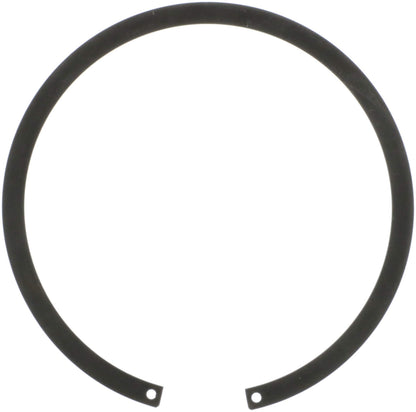 Delphi Fuel Tank Lock Ring FA10022