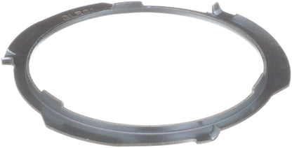 Delphi Fuel Tank Lock Ring FA10028