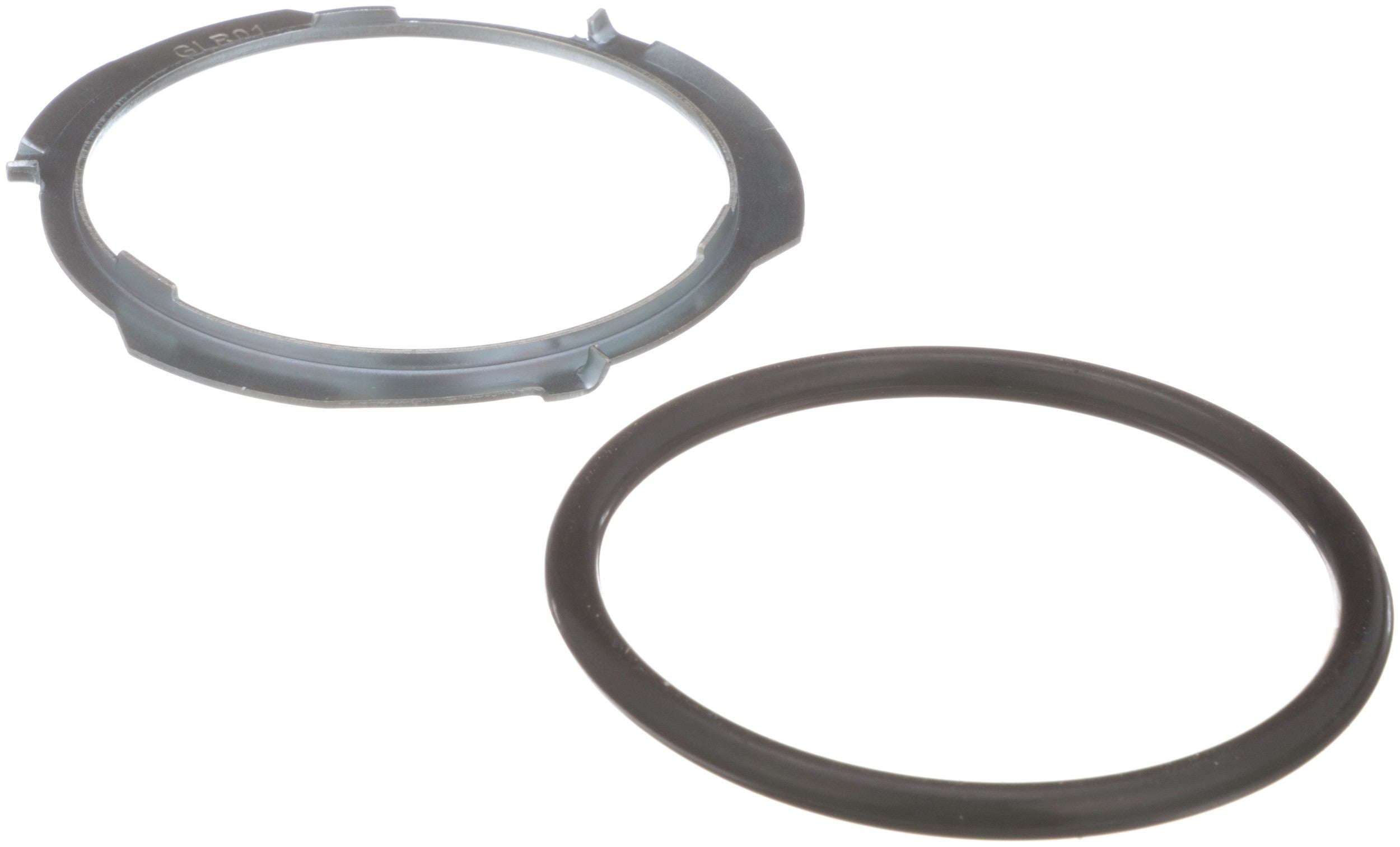 Delphi Fuel Tank Lock Ring FA10028