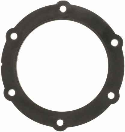 Delphi Fuel Pump Tank Seal FA10030