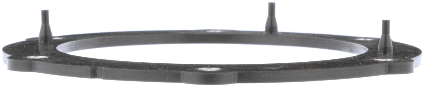 Delphi Fuel Pump Tank Seal FA10030