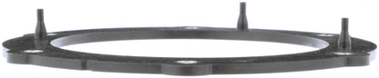 Delphi Fuel Pump Tank Seal FA10030