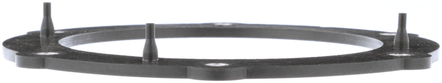 Delphi Fuel Pump Tank Seal FA10030