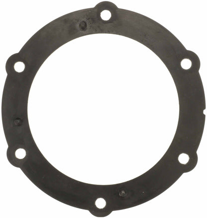 Delphi Fuel Pump Tank Seal FA10030