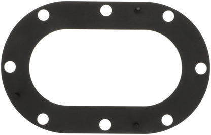 Delphi Fuel Pump Tank Seal FA10033