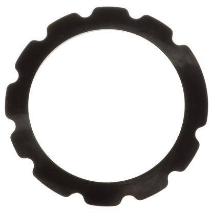 Delphi Fuel Pump Tank Seal FA10034