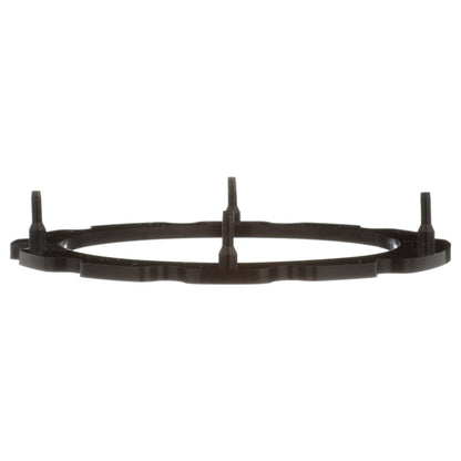 Delphi Fuel Pump Tank Seal FA10034
