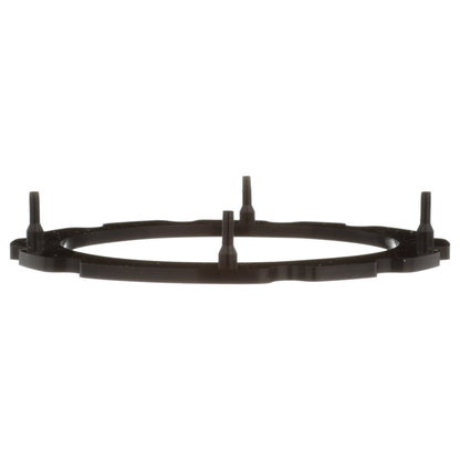 Delphi Fuel Pump Tank Seal FA10034