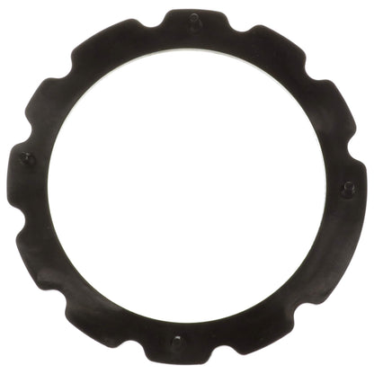 Delphi Fuel Pump Tank Seal FA10034