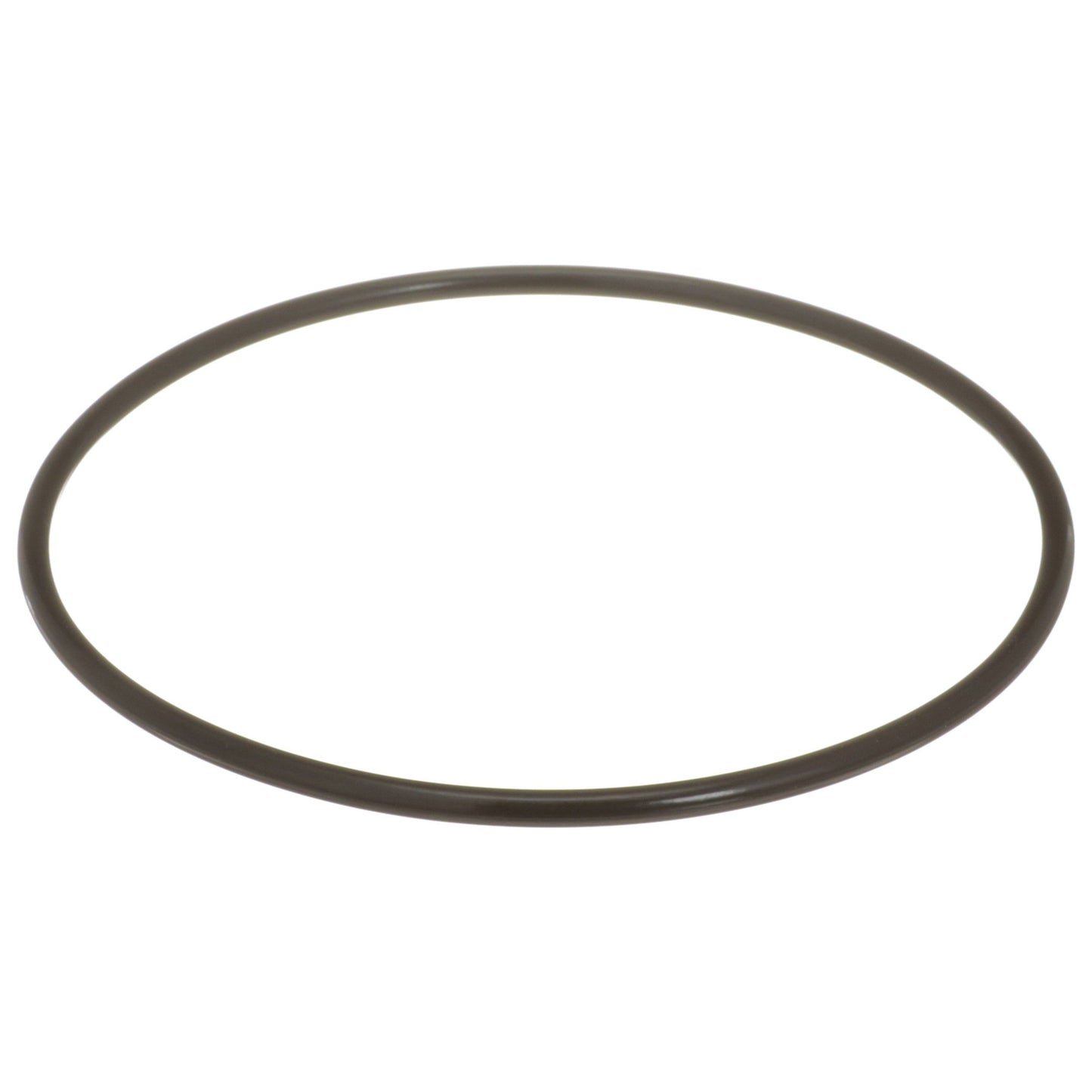 Delphi Fuel Tank Lock Ring FA10036