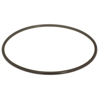 Delphi Fuel Tank Lock Ring FA10036