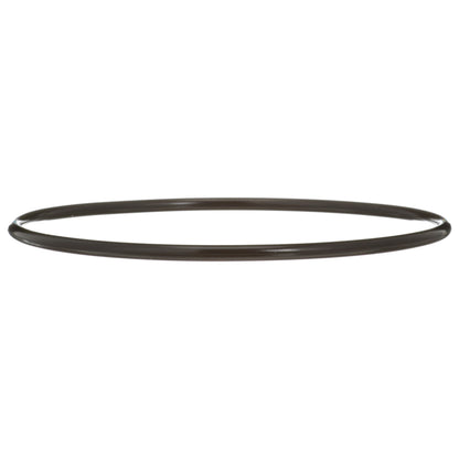 Delphi Fuel Tank Lock Ring FA10036