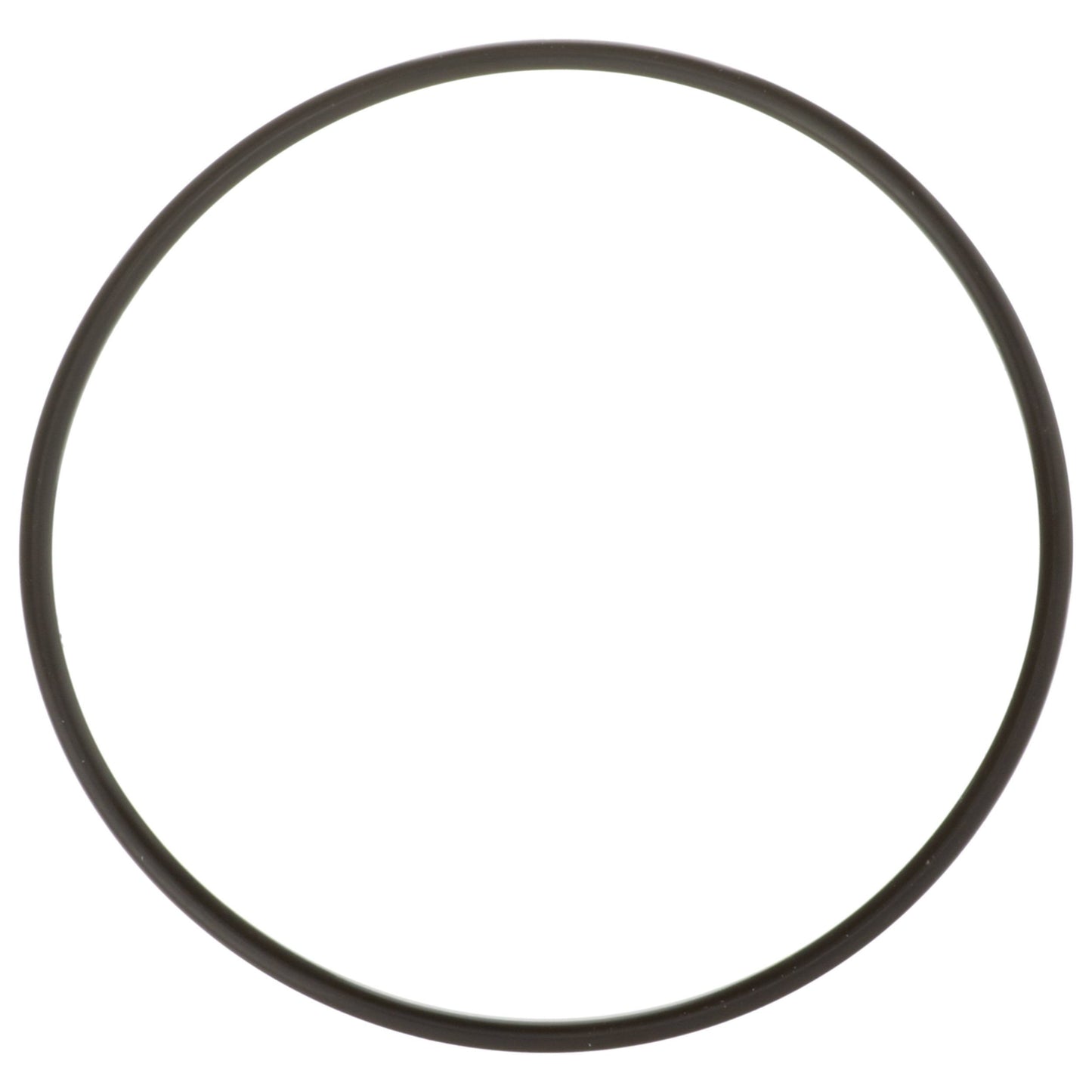 Delphi Fuel Tank Lock Ring FA10036