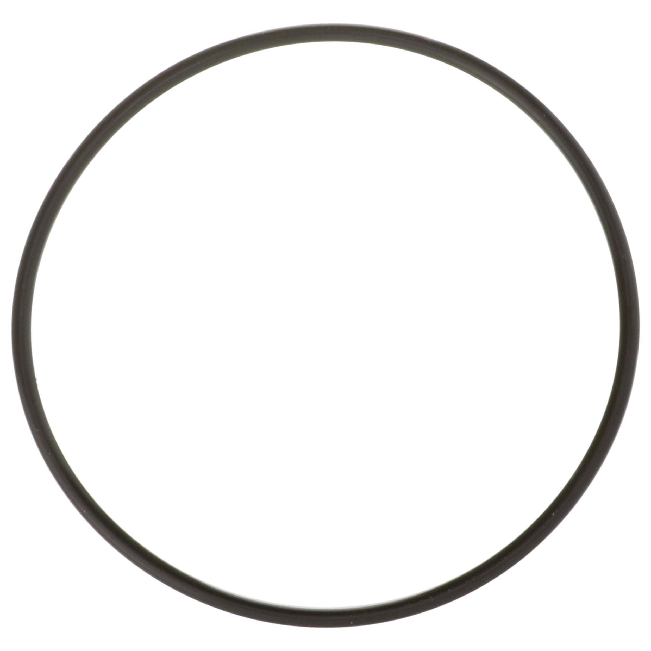 Delphi Fuel Tank Lock Ring FA10036