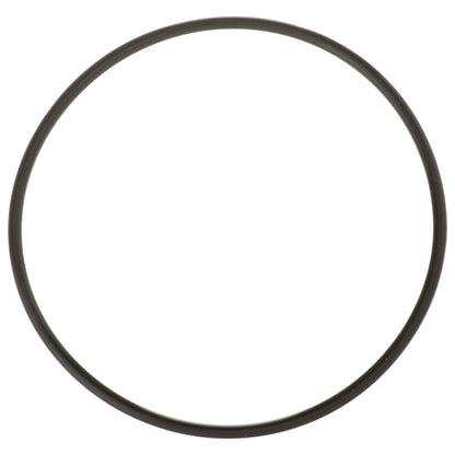 Delphi Fuel Tank Lock Ring FA10036