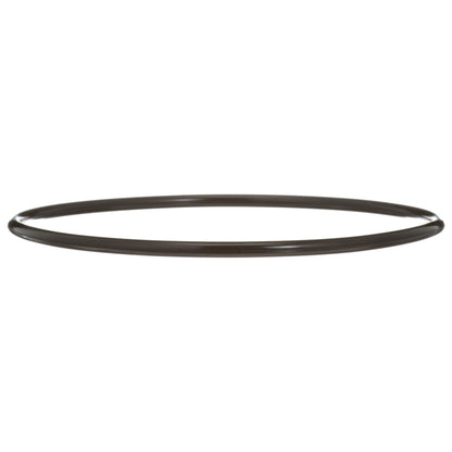 Delphi Fuel Tank Lock Ring FA10036