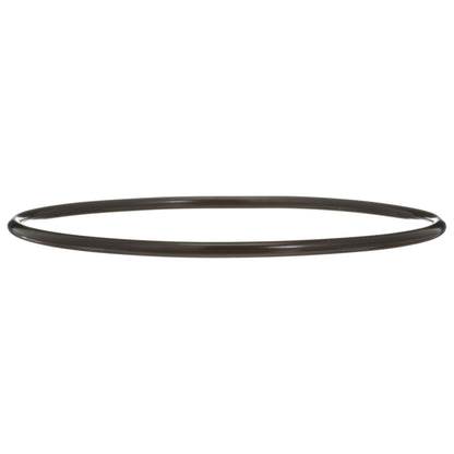 Delphi Fuel Tank Lock Ring FA10036