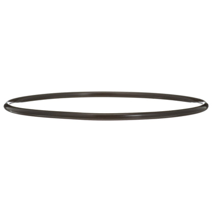Delphi Fuel Tank Lock Ring FA10036
