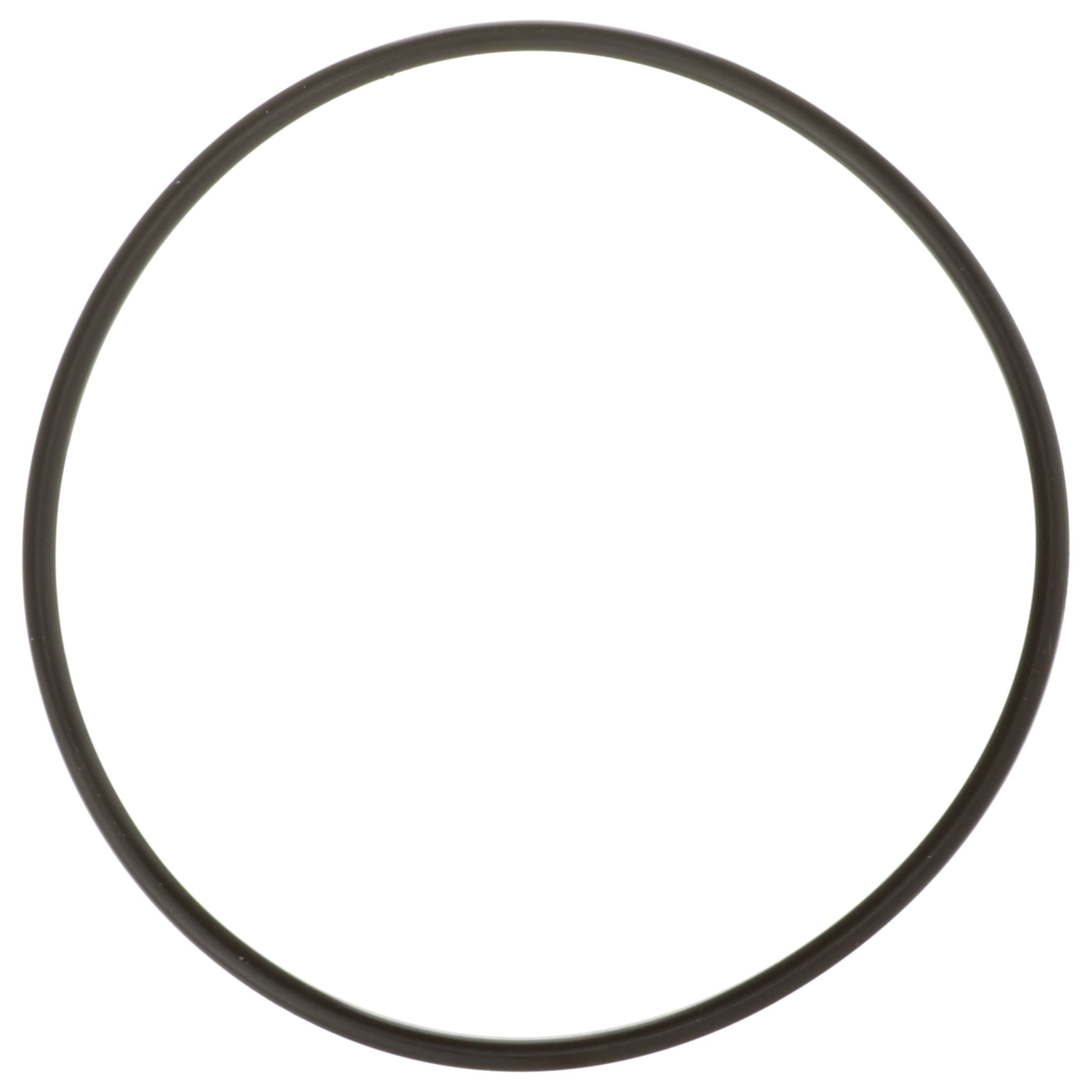 Delphi Fuel Tank Lock Ring FA10036