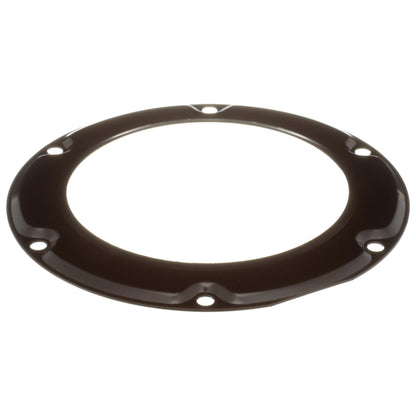 Delphi Fuel Tank Lock Ring FA10037