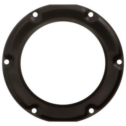 Delphi Fuel Tank Lock Ring FA10037