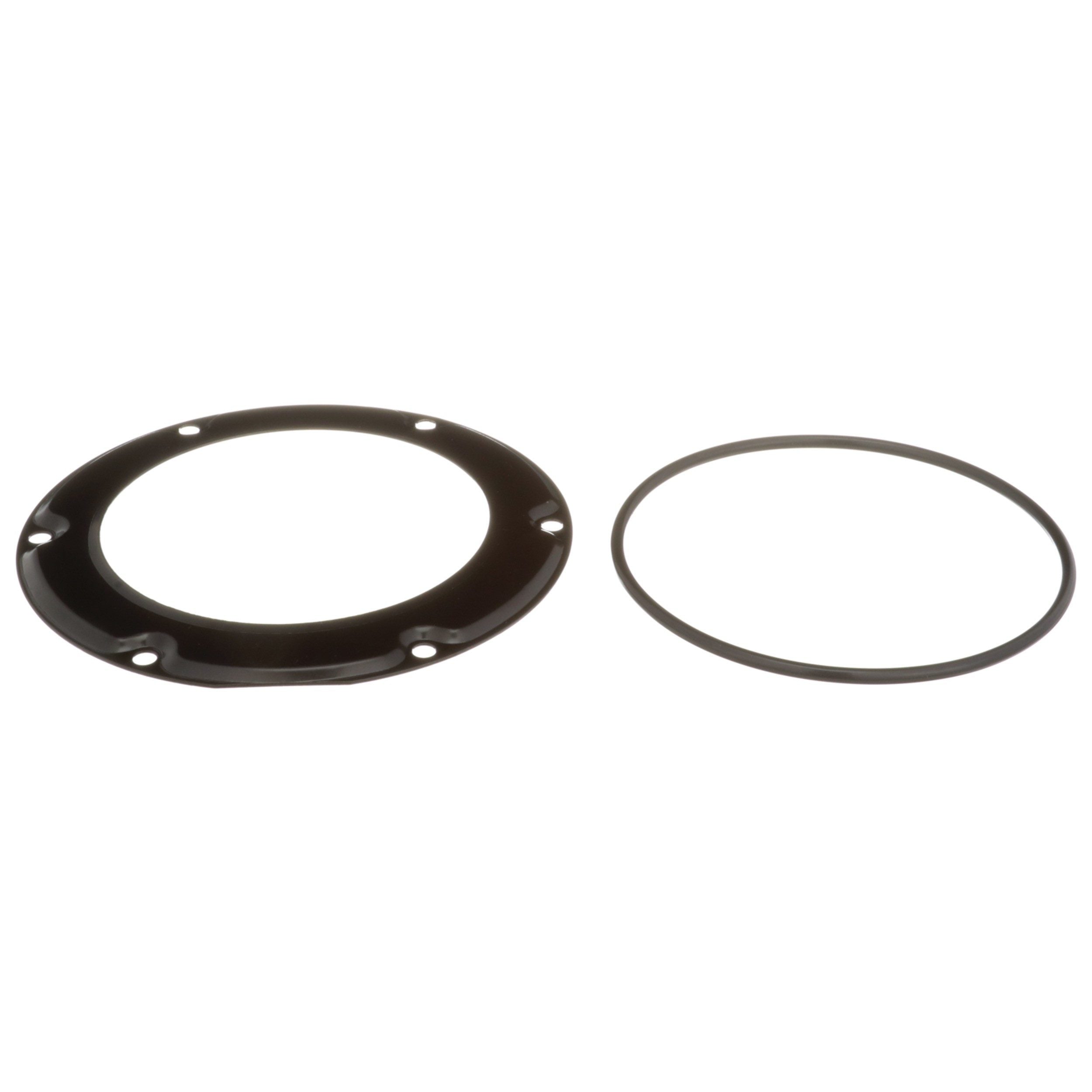 Delphi Fuel Tank Lock Ring FA10037