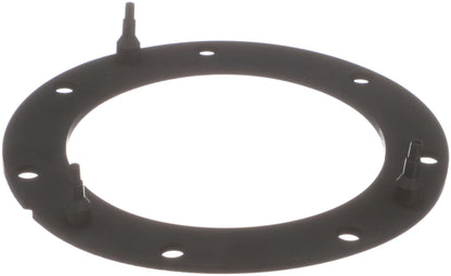 Delphi Fuel Pump Tank Seal FA10038