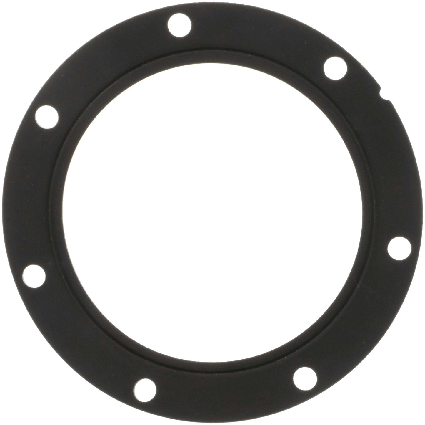 Delphi Fuel Pump Tank Seal FA10038