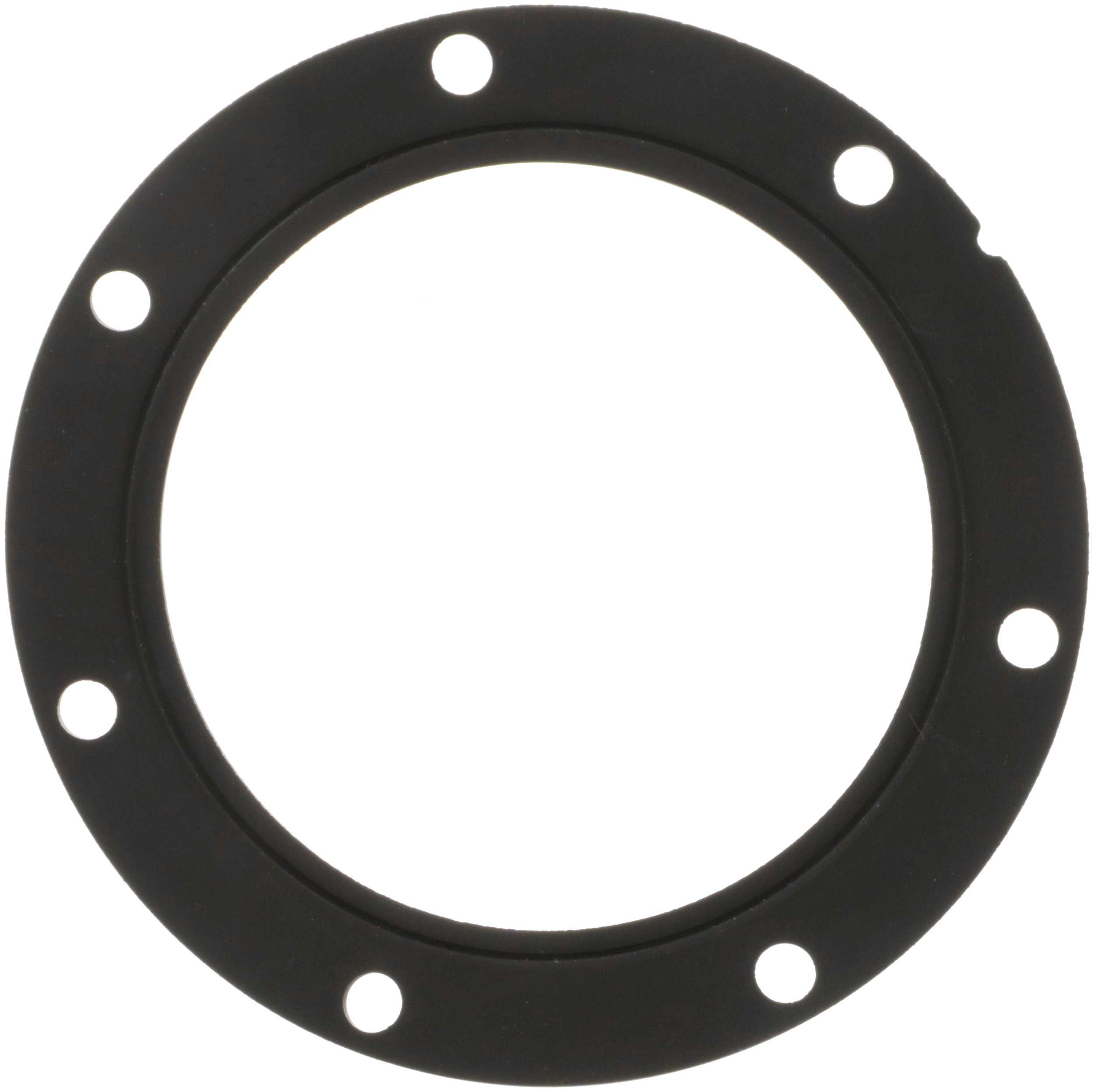 Delphi Fuel Pump Tank Seal FA10038