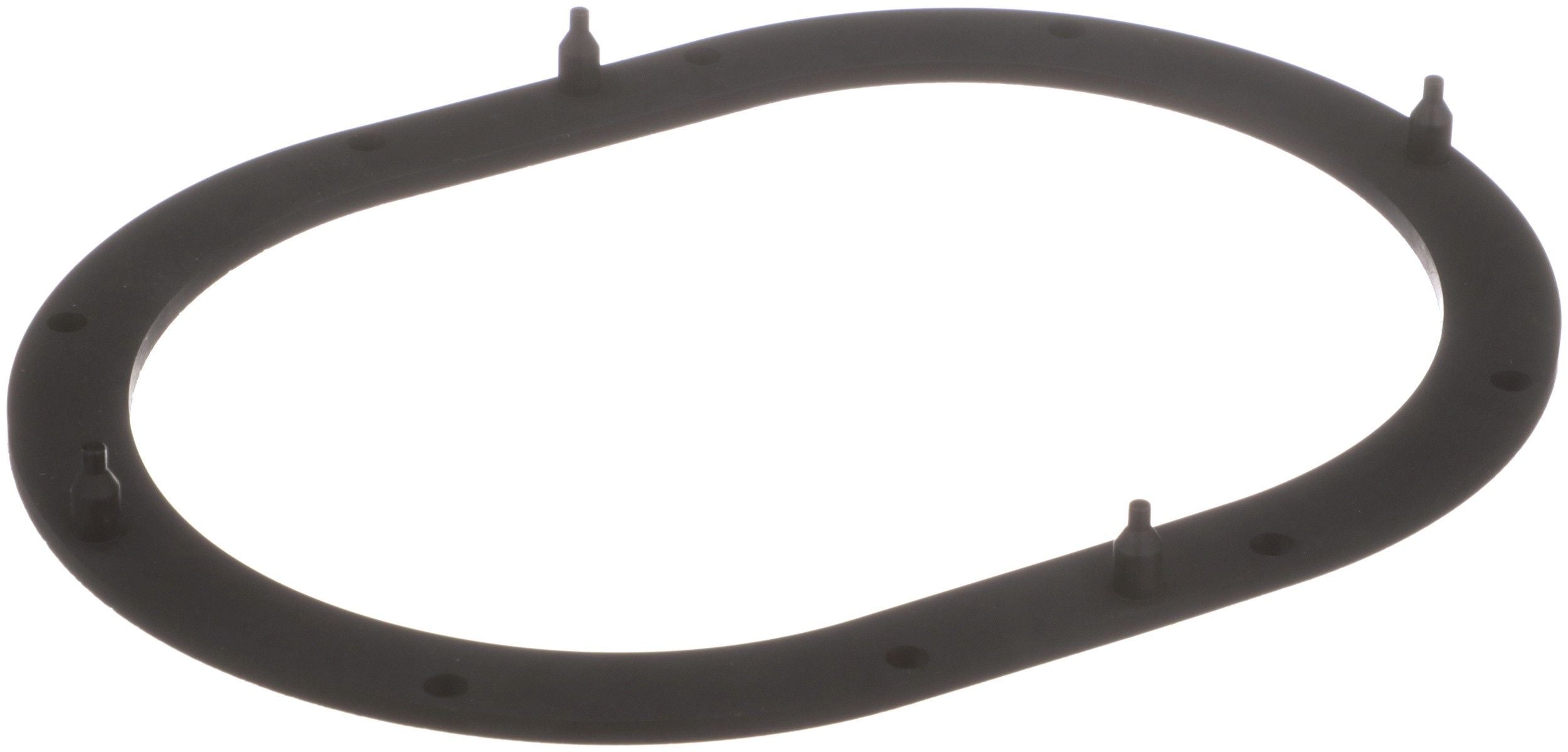 Delphi Fuel Pump Tank Seal FA10039