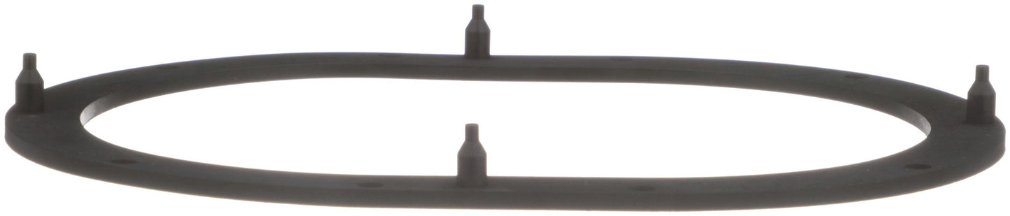 Delphi Fuel Pump Tank Seal FA10039