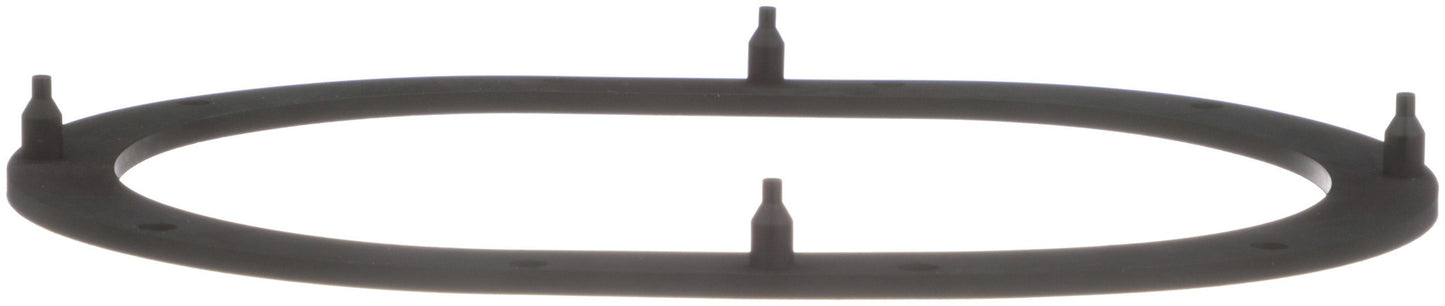 Delphi Fuel Pump Tank Seal FA10039