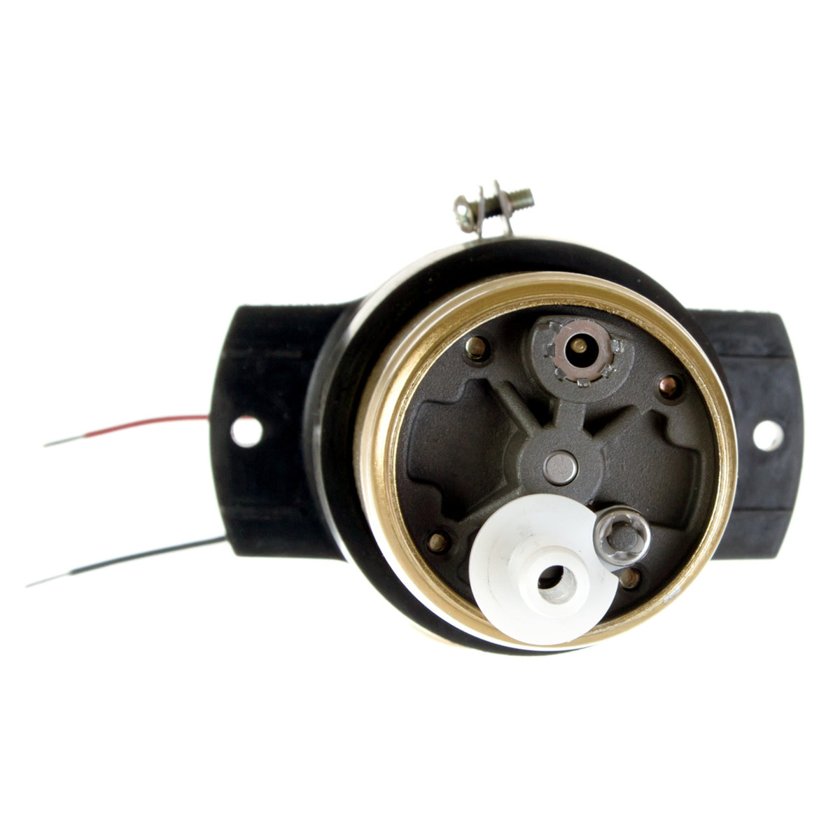 Delphi Fuel Pump and Strainer Set FE0099