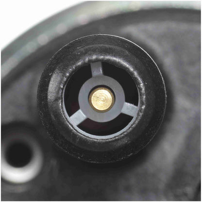 Delphi Electric Fuel Pump FE0174
