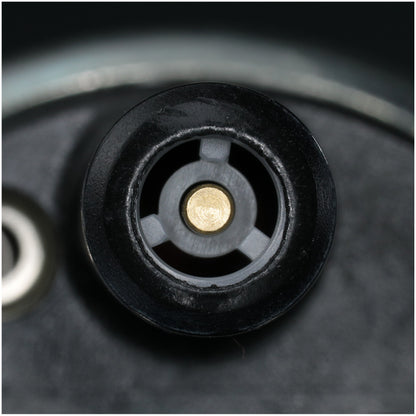 Delphi Electric Fuel Pump FE0245