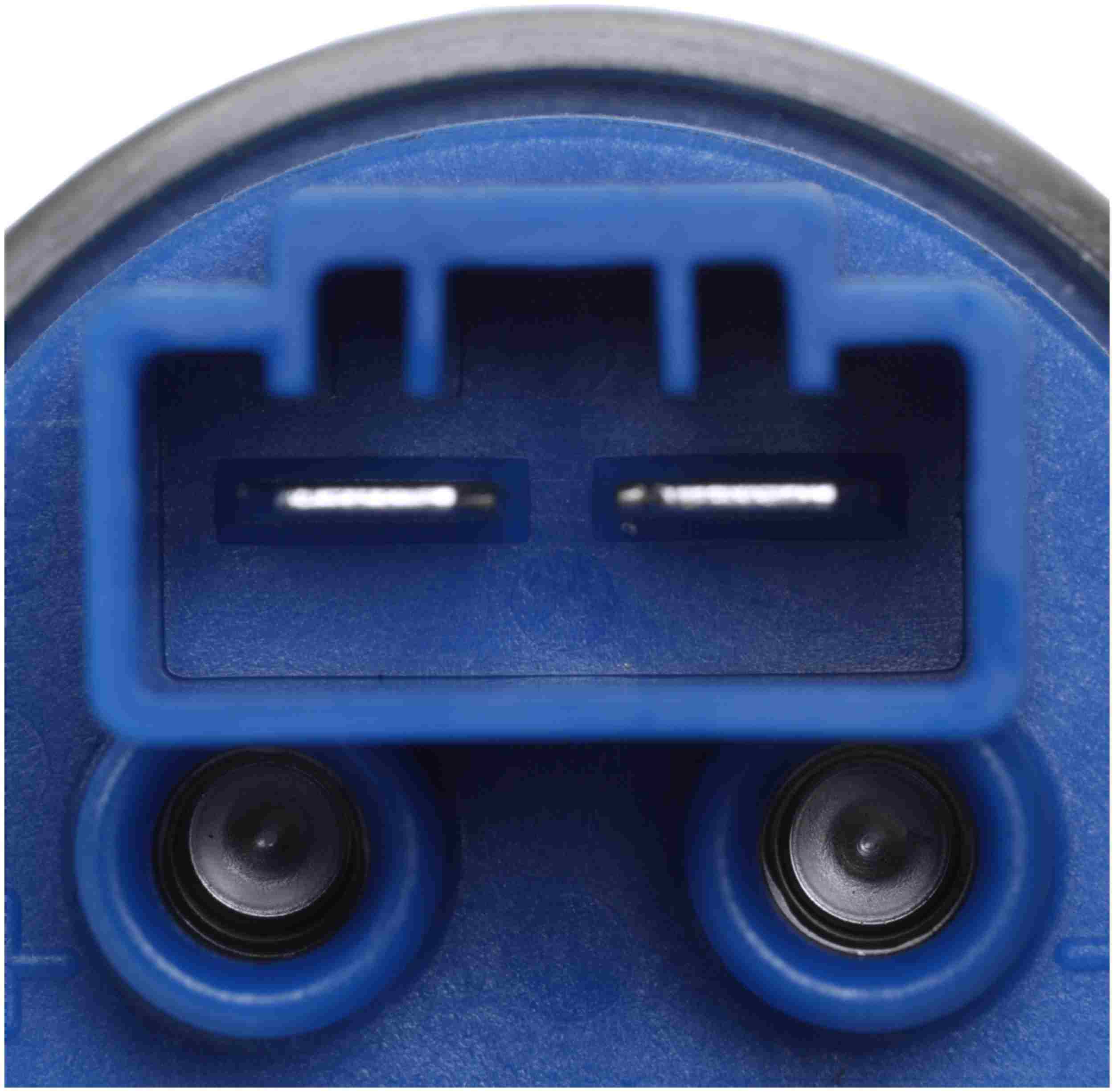 Delphi Fuel Pump and Strainer Set FE0285