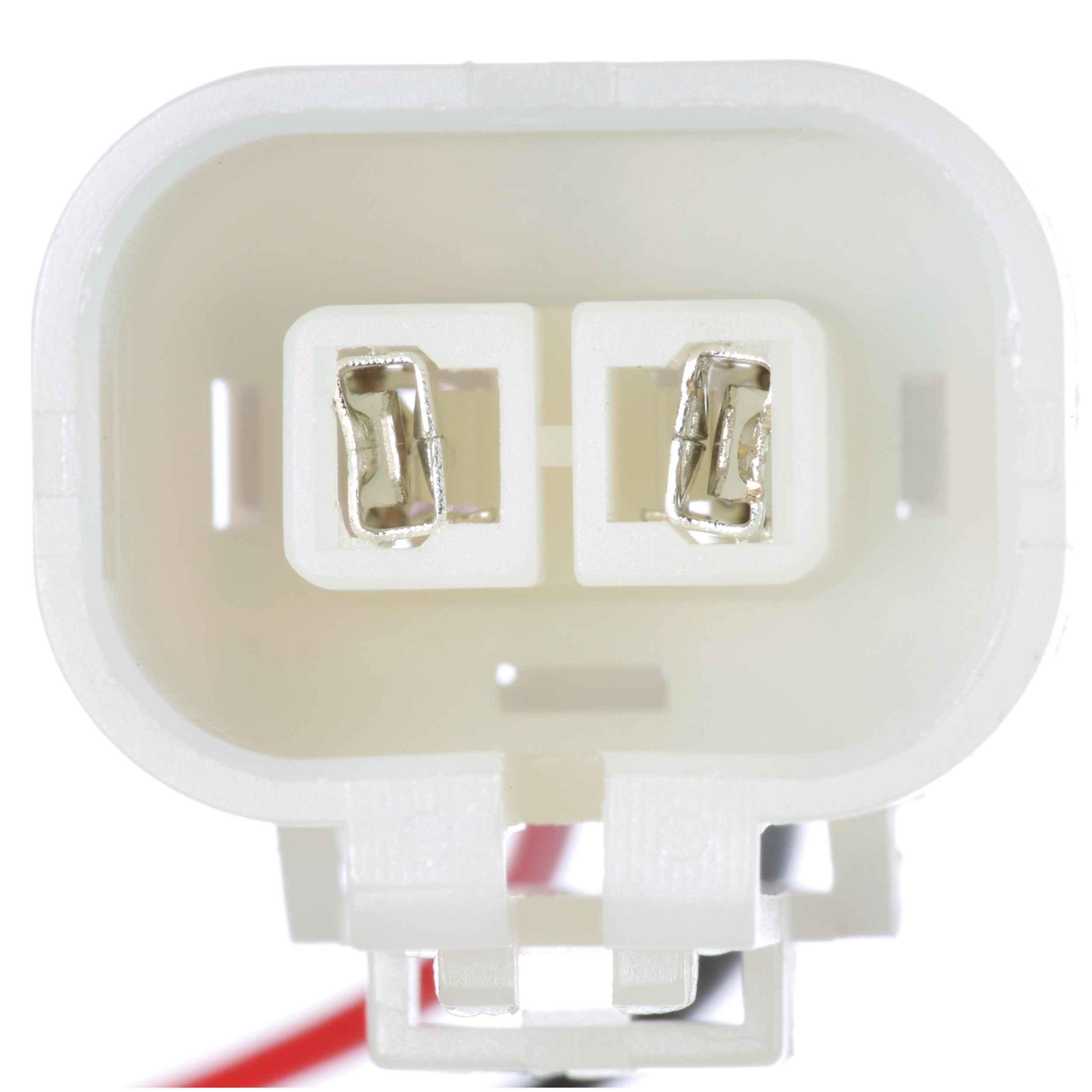 Delphi Fuel Pump and Strainer Set FE0355