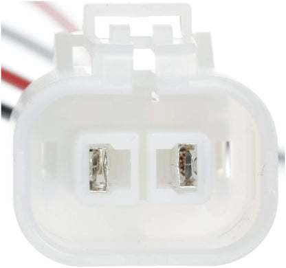 Delphi Fuel Pump and Strainer Set FE0388