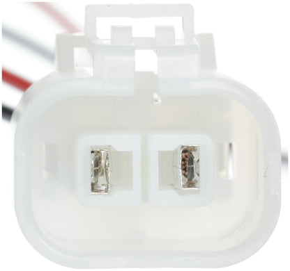 Delphi Fuel Pump and Strainer Set FE0388