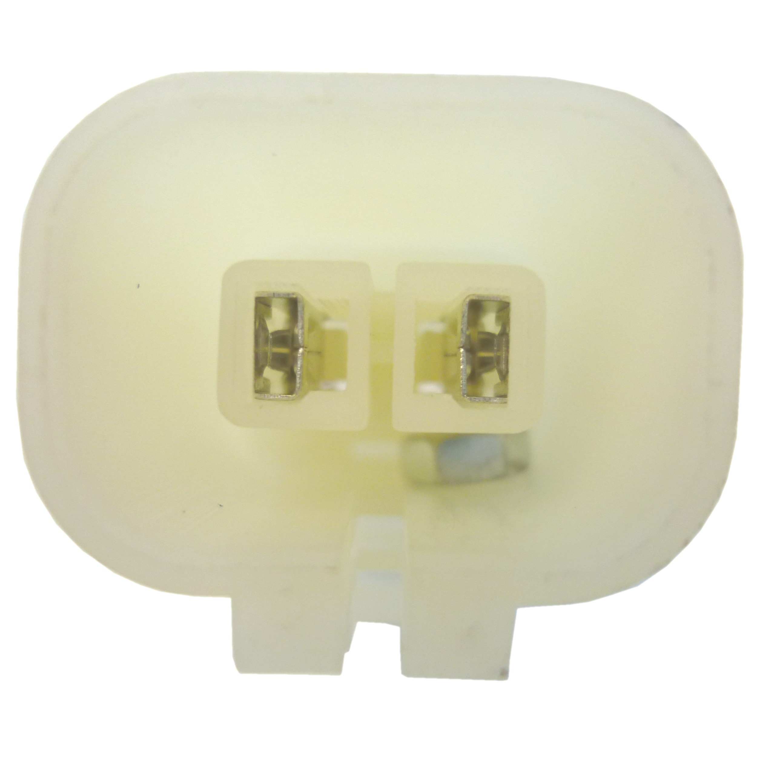 Delphi Fuel Pump and Strainer Set FE0511