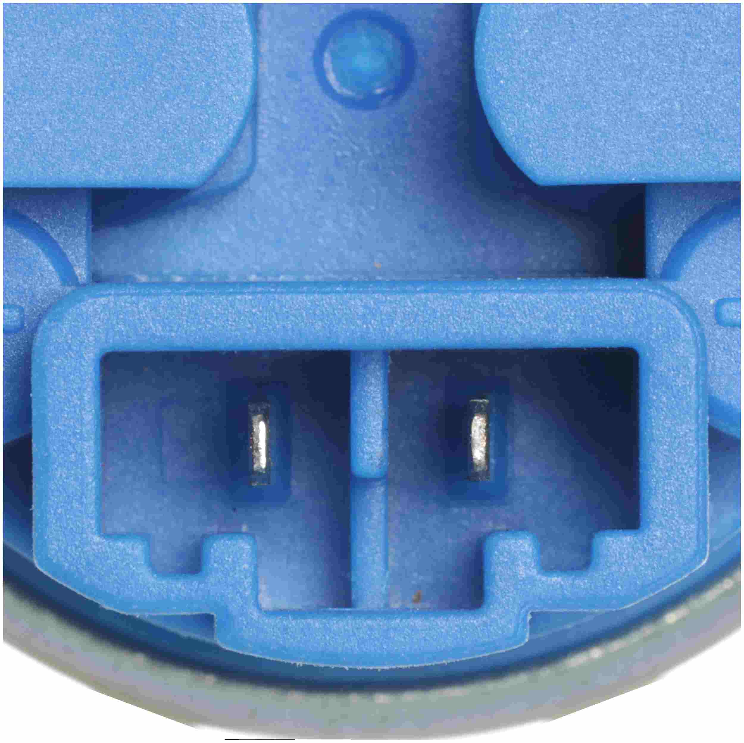 Delphi Fuel Pump and Strainer Set FE0677
