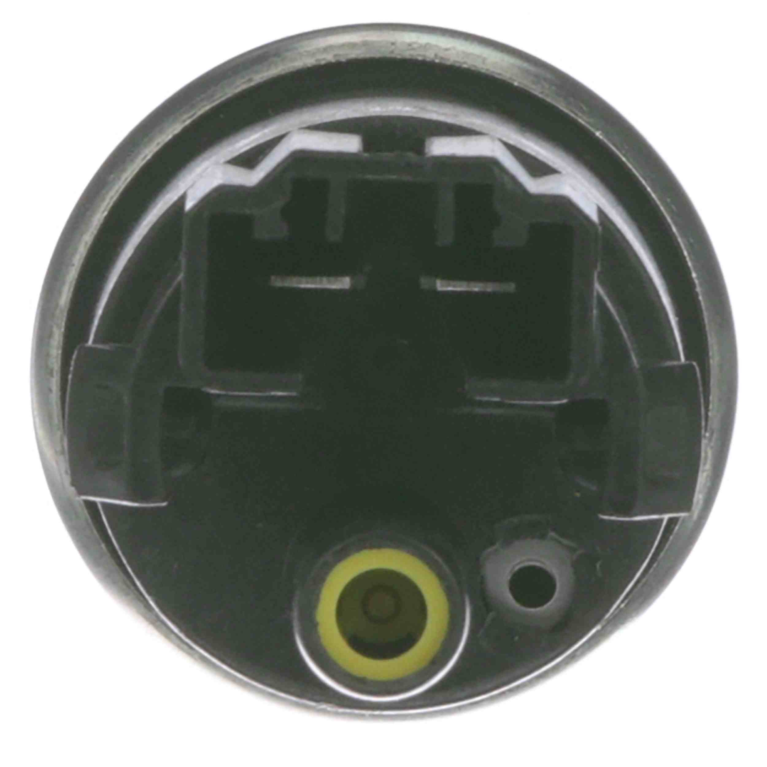 Delphi Fuel Pump and Strainer Set  top view frsport FE0702