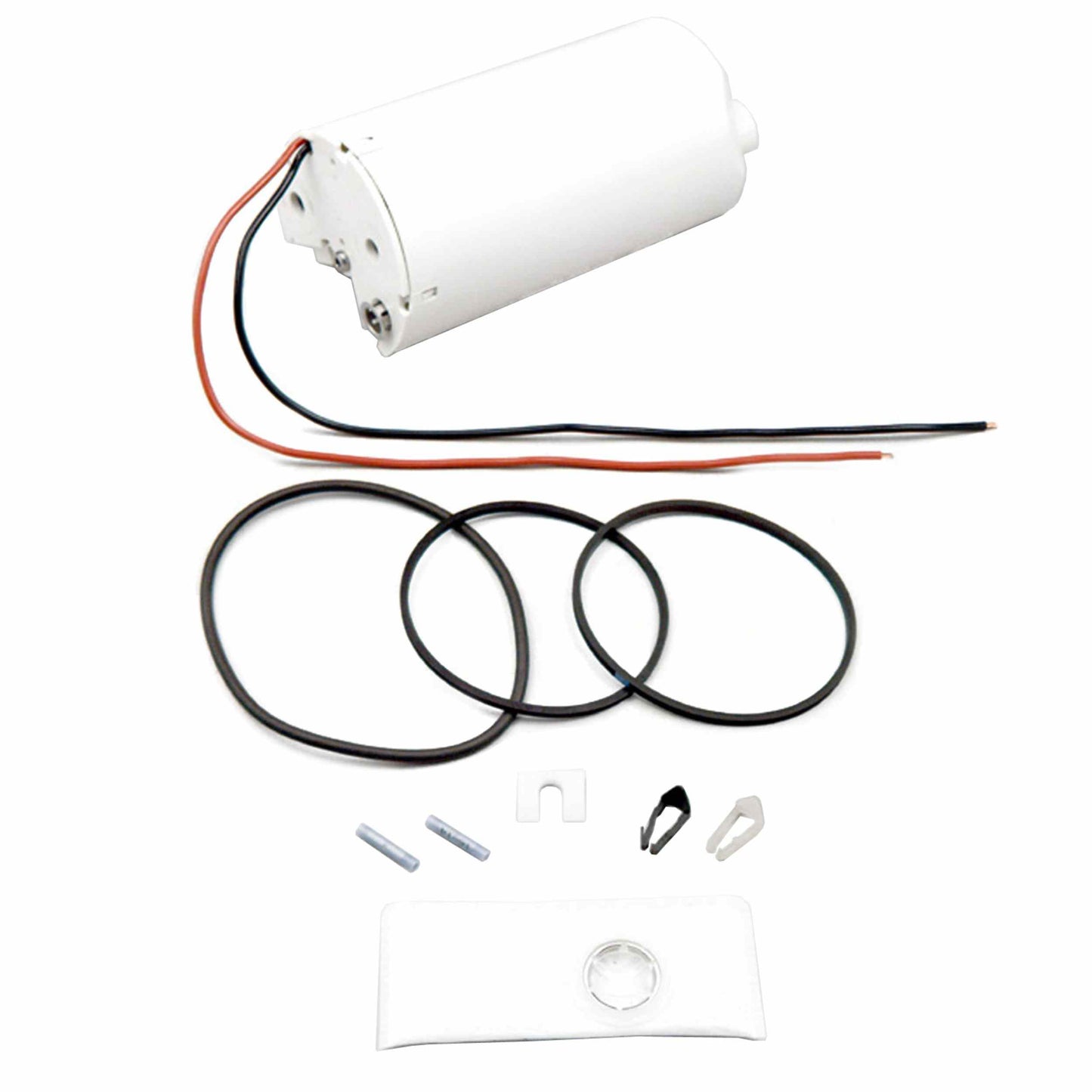 Delphi Fuel Pump and Strainer Set FG0198