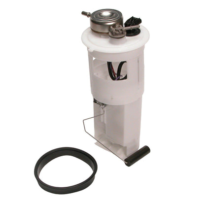 Delphi Fuel Pump Module Assembly FG0238