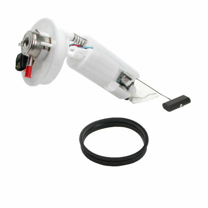 Delphi Fuel Pump Module Assembly FG0430
