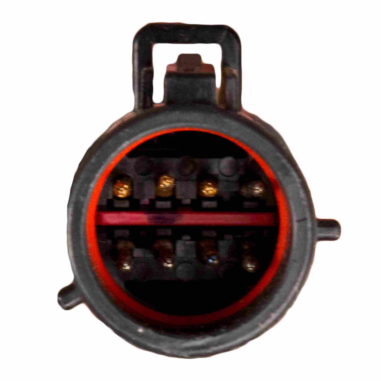 Delphi Fuel Pump Module Assembly FG0829