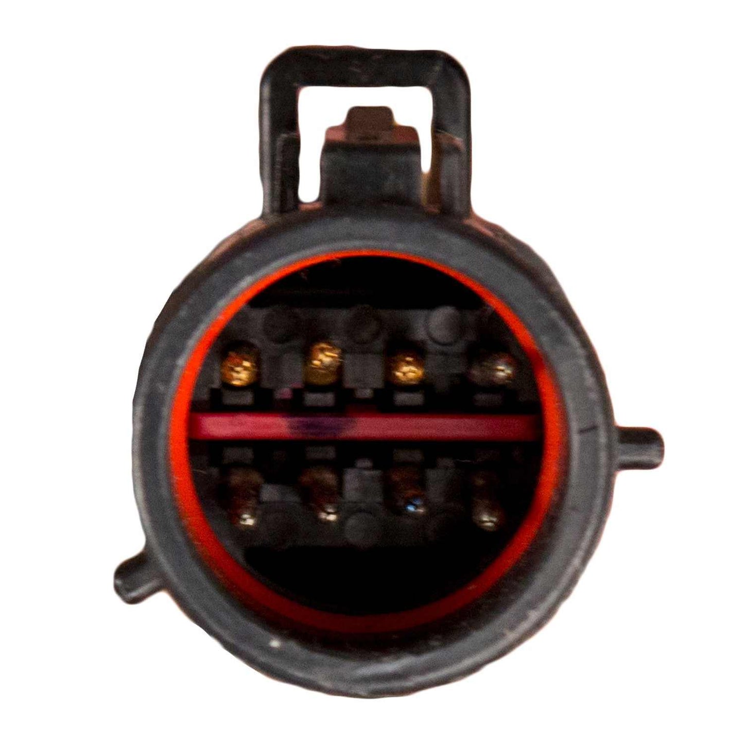 Delphi Fuel Pump Module Assembly FG0829